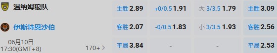 温纳姆狼队.jpg